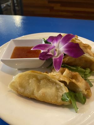 Gyoza   at The Sushi Samurai - Queen Anne in Seattle