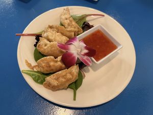 Gyoza  at The Sushi Samurai - Queen Anne in Seattle