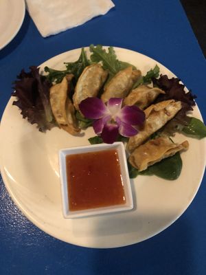 Gyozas  at The Sushi Samurai - Queen Anne in Seattle