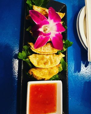 Gyozas  at The Sushi Samurai - Queen Anne in Seattle