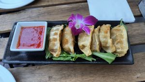 Gyoza at The Sushi Samurai - Queen Anne in Seattle