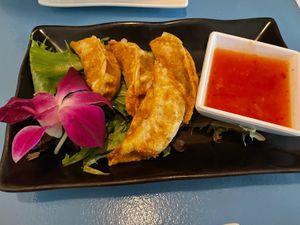 Gyoza  at The Sushi Samurai - Queen Anne in Seattle