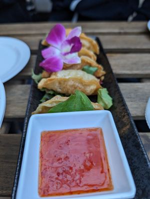 Pot stickers at The Sushi Samurai - Queen Anne in Seattle