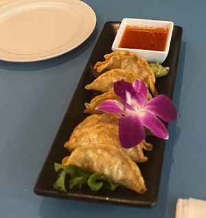 Gyozas! at The Sushi Samurai - Queen Anne in Seattle