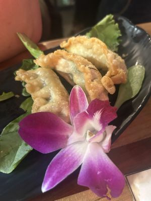 Gyoza  at The Sushi Samurai - Queen Anne in Seattle
