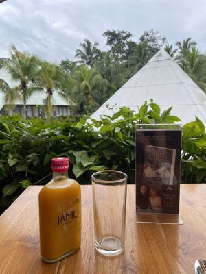 Turmeric juice with tamarind, couldn’t taste tamarind  at Pyramids of Chi Cafe in Gianyar