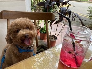   at VeganBliss 蔬福 in Central Singapore