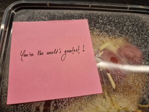 Post its with quotes on the dishes at Plan B 24/7 in Zedelgem