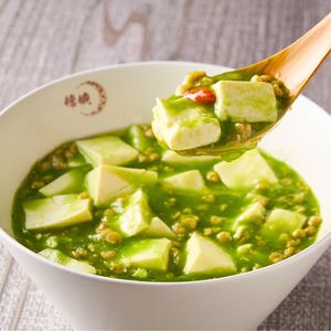  at vegan veggie joga - 嫦娥 in Tokyo