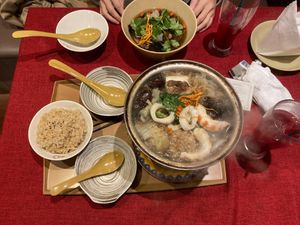Chinese medicinal hotpot, open at vegan veggie joga - 嫦娥 in Tokyo