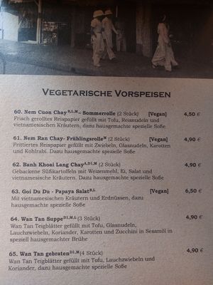 Veggie starters at Viet Village in Mannheim