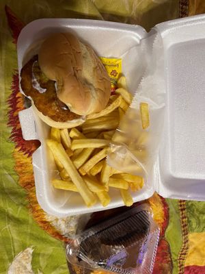 Everything I ordered
Vegan Chicken sandwich and cake at The Twisted Vegan in Tampa