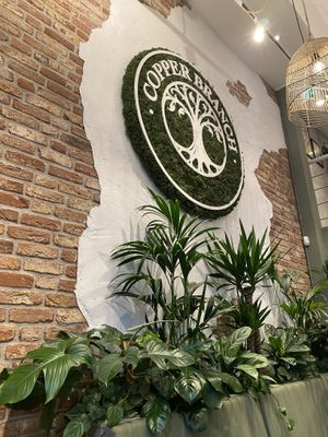   at Copper Branch in Rotterdam