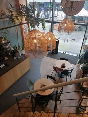 View from upstairs at Copper Branch in Rotterdam
