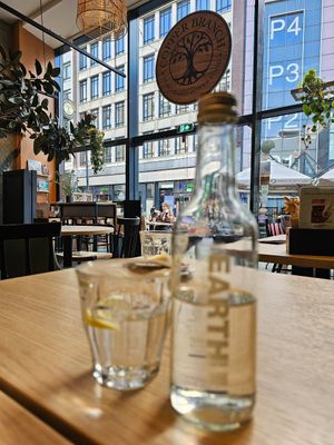  at Copper Branch in Rotterdam