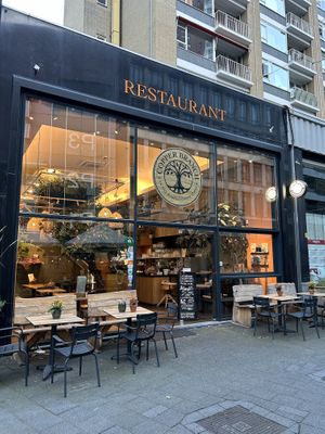   at Copper Branch in Rotterdam