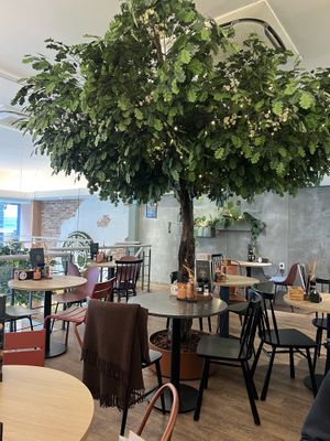   at Copper Branch in Rotterdam