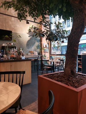  at Copper Branch in Rotterdam