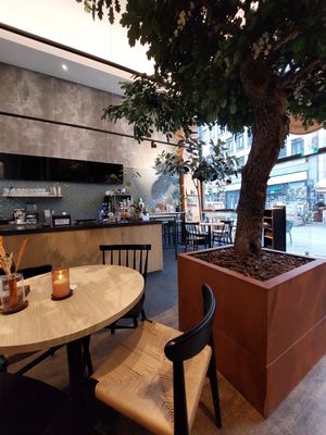  at Copper Branch in Rotterdam