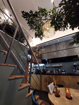  at Copper Branch in Rotterdam