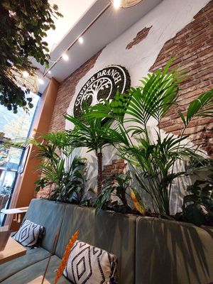  at Copper Branch in Rotterdam