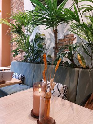  at Copper Branch in Rotterdam