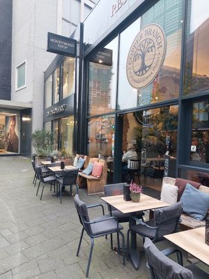  at Copper Branch in Rotterdam