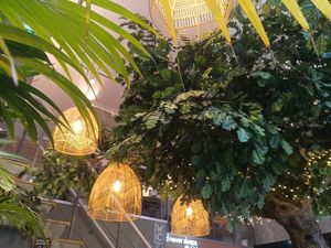 Inside decoration at Copper Branch in Rotterdam