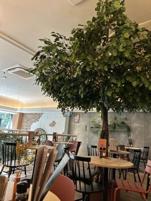 interior  at Copper Branch in Rotterdam