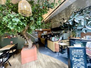  at Copper Branch in Rotterdam