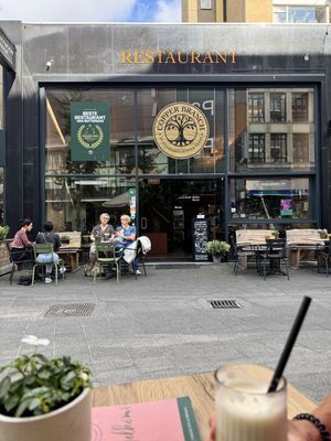 Restaurant from outsidee  at Copper Branch in Rotterdam