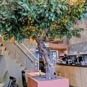  at Copper Branch in Rotterdam