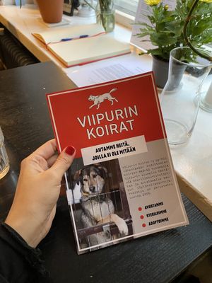   at Encanto - Art Cafe in Helsinki