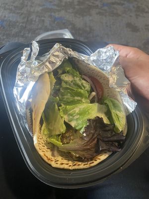 Falafel on pitaa bread  at PHX - Pita Jungle - Sky Harbor - T4 in Phoenix