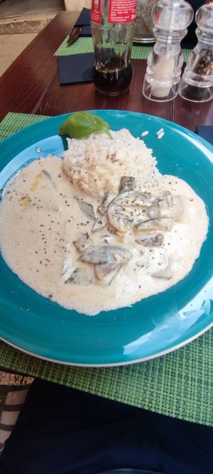 Mushroom stroganoff at Gourmet Bar Ginger in Dubrovnik