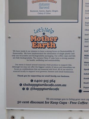  at The Happy Turtle Cafe in Caloundra