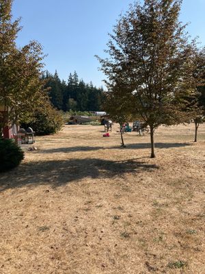 We go there on a Saturday and it is usually pretty quiet. Sunday is market day and so you can stock up on locally grown veggies.  at OSM Eats in Langley