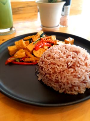 Thai cuisine at Vegan Meals in Chiang Mai