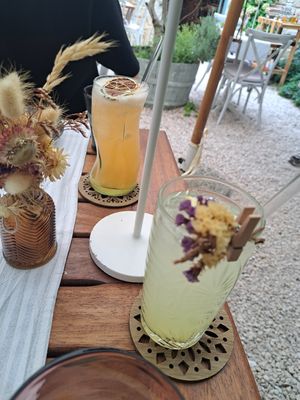  at Capo Fronte in Rab