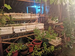  at Lekker Garden in Panglao