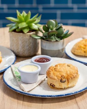 Vegan scone and cream at The Pantry in Reading