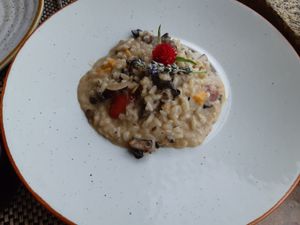 Vegetarian Mushroom risotto made vegan (no cheese) at Puro in Covilha