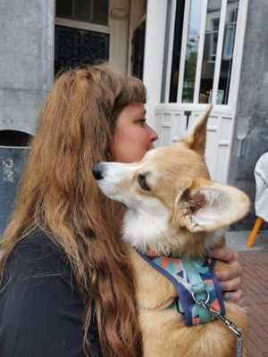 Loving pets  at Opstand in Nijmegen