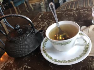 Gaucho at The Witches Brew in West Hempstead