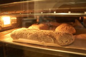 GF Ciabatta at Pane Ora in Dunedin