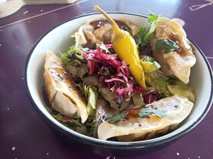 Gyoza's at Karma Kebab in Utrecht