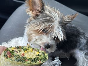   at Tassili's Raw Reality in Atlanta