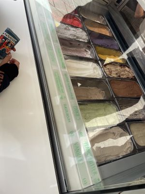 Options🥰  at Veganista Ice Cream MQ in Vienna