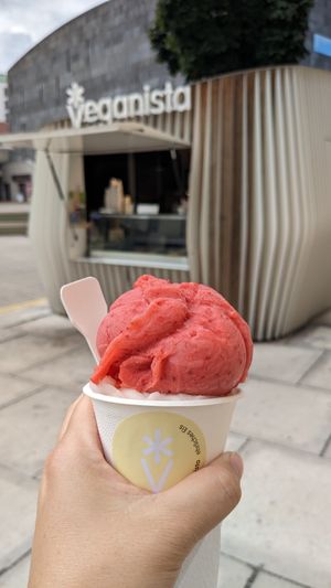  at Veganista Ice Cream MQ in Vienna