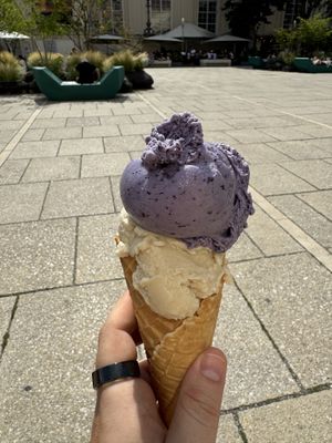   at Veganista Ice Cream MQ in Vienna